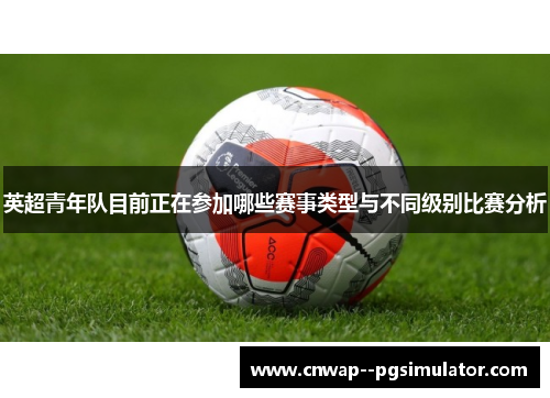 英超青年队目前正在参加哪些赛事类型与不同级别比赛分析 英超青年队目前正在参加哪些赛事类型与不同级别比赛分析