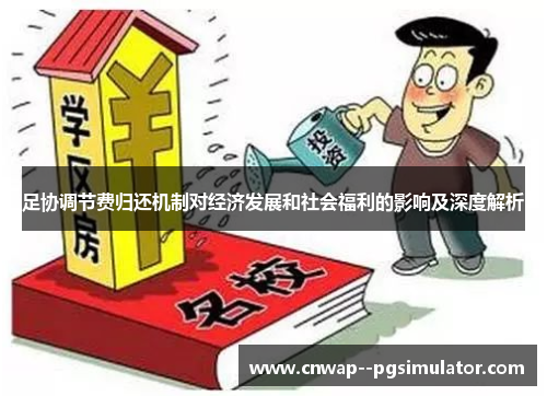 足协调节费归还机制对经济发展和社会福利的影响及深度解析