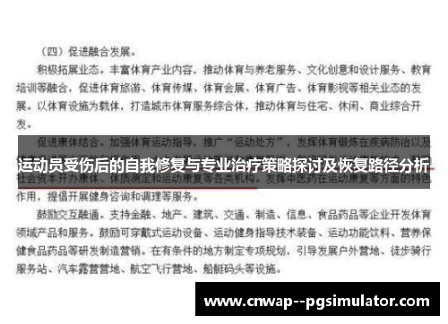 运动员受伤后的自我修复与专业治疗策略探讨及恢复路径分析