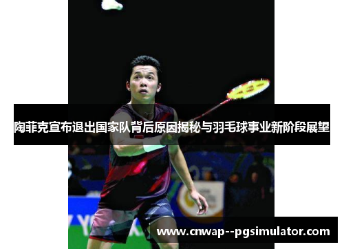 陶菲克宣布退出国家队背后原因揭秘与羽毛球事业新阶段展望
