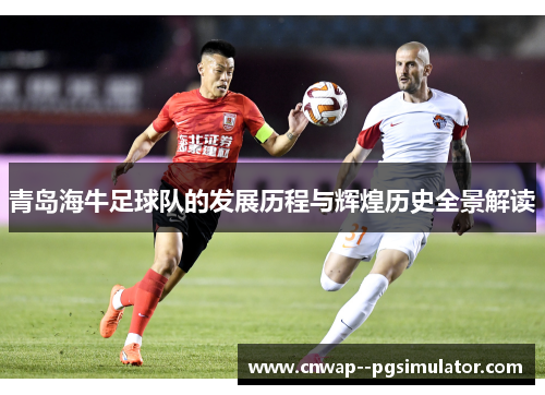 青岛海牛足球队的发展历程与辉煌历史全景解读