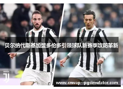 贝尔纳代斯基加盟多伦多引领球队新赛季攻防革新